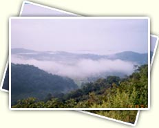 Coorg