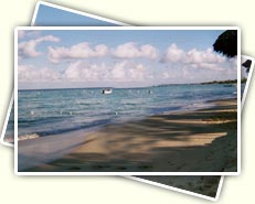 Marari beach