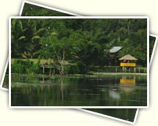 Thattekkad bird sanctuary